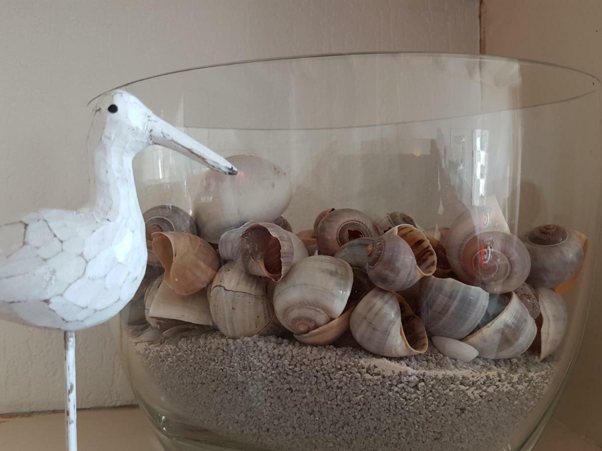 Apartment By The Sea Bed By The Sea Vlissingen Bagian luar foto